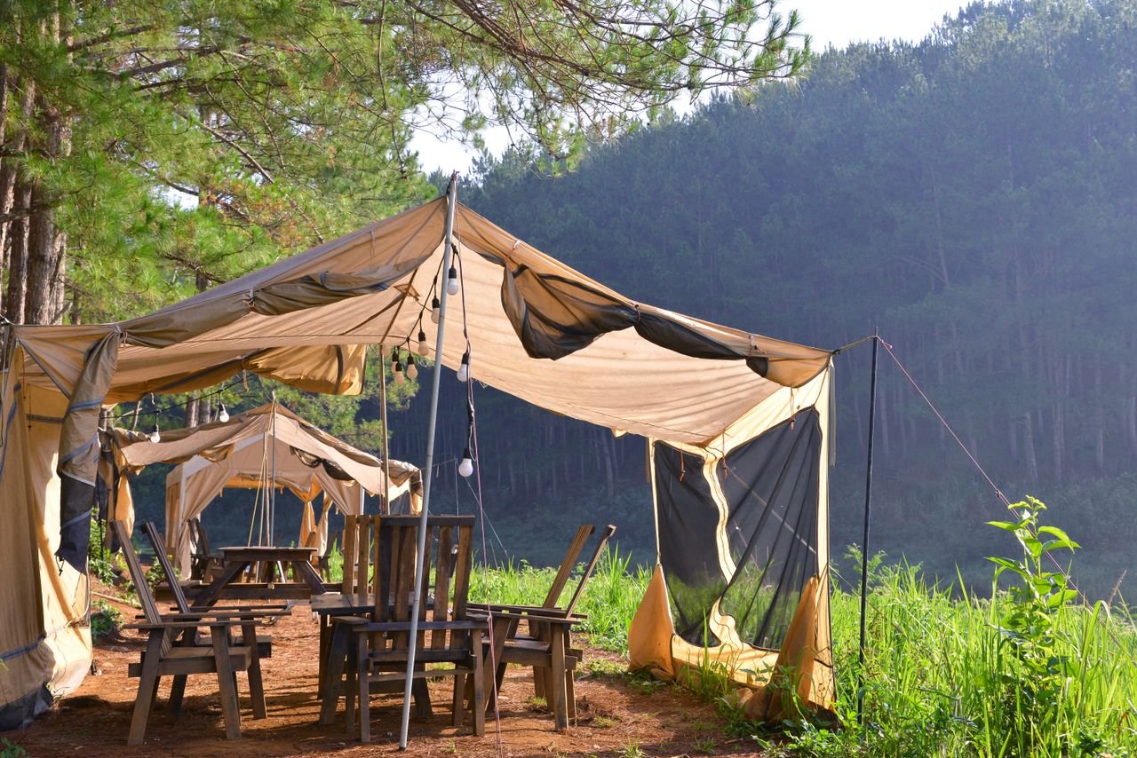 Explore a rustic campsite with tents surrounded by lush greenery and serene forest views.
